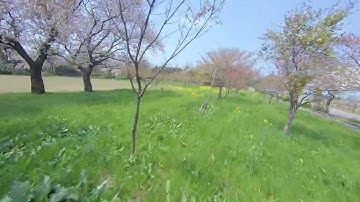 Hawkeye Firefly X Lite ver.4.0＋Gyroflow rc5