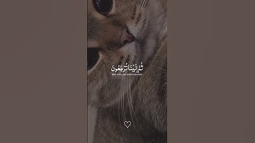 #اذكار #اذكار_الصباح #اذكار_المساء #اكسبلور #دعاء #قرآن #قران_كريم #كلام_الله #محتوى #دعم