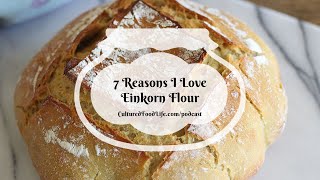 Podcast Episode 280: 7 Reasons I Love Einkorn Flour