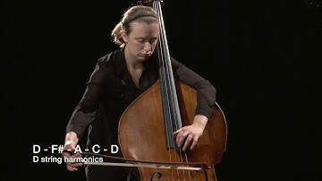 Figure 11.13 Double Bass Advanced Harmonics