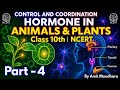 Control and coordination class 10th part -4 (Hormones in animals and plants)