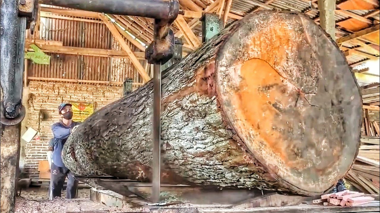 Sawing a Hundred-Year-Old Log into Premium Building Wood 🌳