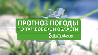 Прогноз погоды в Тамбове и Тамбовской области на 3 мая 2024 года
