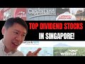 TOP 10 DIVIDEND STOCKS FOR 2021? THESE SG STOCKS COULD PAY GOOD DIVIDENDS!