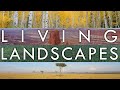 Living landscapes  the music of the biomes series