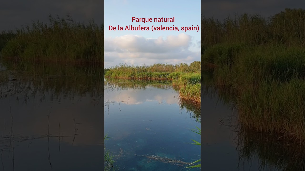 Parque Natural de la Albufera. Ullal de Baldovi