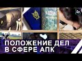 Прокуратура проверяет готовность сельхозпредприятий к наступлению холодов. Панорама