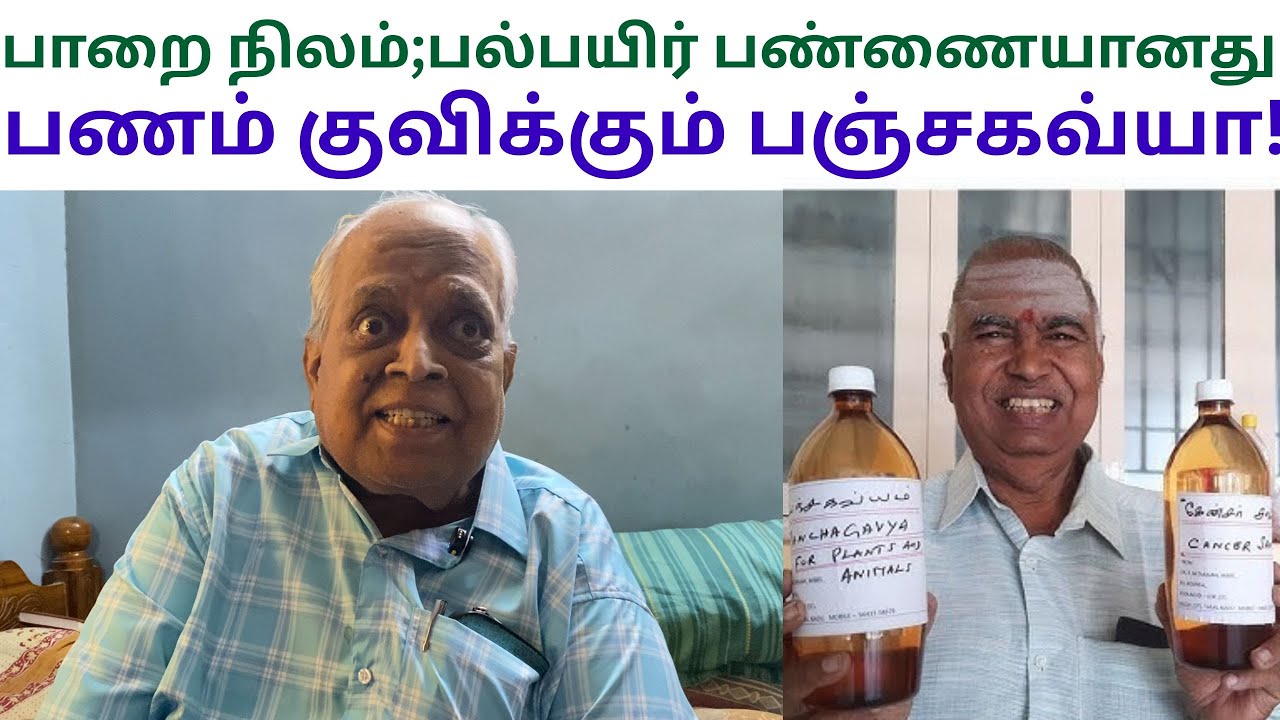 பஞ்சகவ்யாவுக்கு முதல் அறிவியல் ஆதரவு | Dr அரு சோலையப்பன் | Panchagavya | Tamil Farming TV