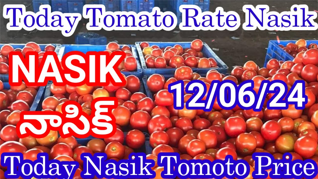 120624 today Tomato rate in Nashik market Nashik market tamatar