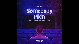 Shatta Wale - Somebody Pikin (Shatta Music) Audio