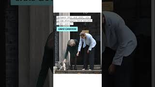 Larry the cat marks 15 years at 10 Downing Street