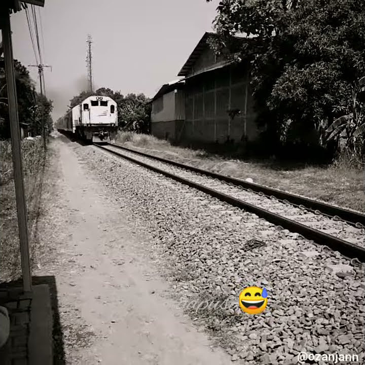 Jebule ngapusi dancooo