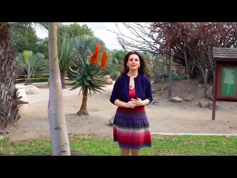 فيديو: ماذا يعني شعار أريزونا؟