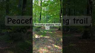 Peaceful walking trail 👟 #positivevibes #peacefulmoments #naturelovers #asmr #fyp #hiking #calm