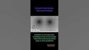 Microscopic Robots moving through maize like channels