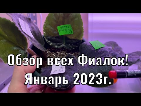 Обзор всех моих