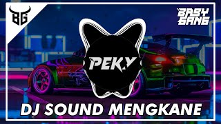 DJ SOUND MENGKANE REMIX 2023