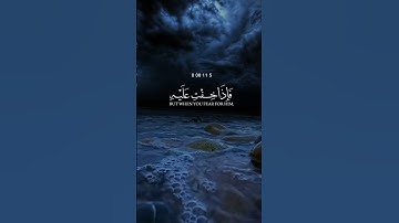 #القرأن_الكريم #بسم_الله_الرحمن_الرحيم #ياسر_الدوسري #اكسبلور #دويتو #القارئ #راحة_نفسية @