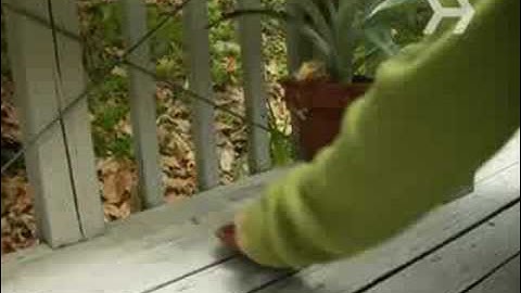 How to Protect Yourself from West Nile Virus