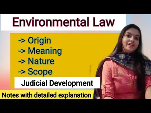 Environmental law lawyer