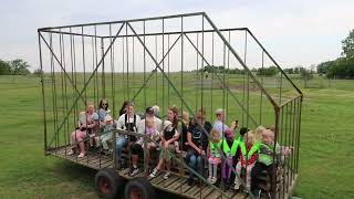 Kosläpp Vellinge Ängar 31 Maj 2024 Gjord Med Clipchamp