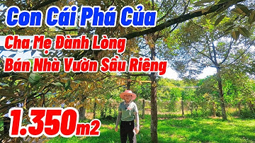 Nhà Vườn Sầu Riêng - Măng Cụt Mặt Tiền Nhựa Gần Sân Bay | NHÀ ĐẤT ĐỒNG NAI GIÁ RẺ