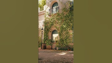 🍃Vine growth takes dozens of days, with D5