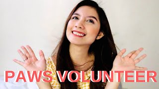 HOW TO VOLUNTEER TO PAWS | Jaira Bayot