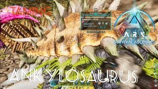 Taming an ankylosaurus in ark survival ascended. Best tame for metal, crystal and obsidian farming