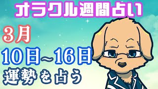 【週間占い】10日～16日の運勢を占います！/ オラクルカード第91回【Vtuber/星戌セン/#vtuber #オラクルカード #占い】