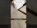This Channel Only Post Unboxing Fails #fail #funnymoments #viral