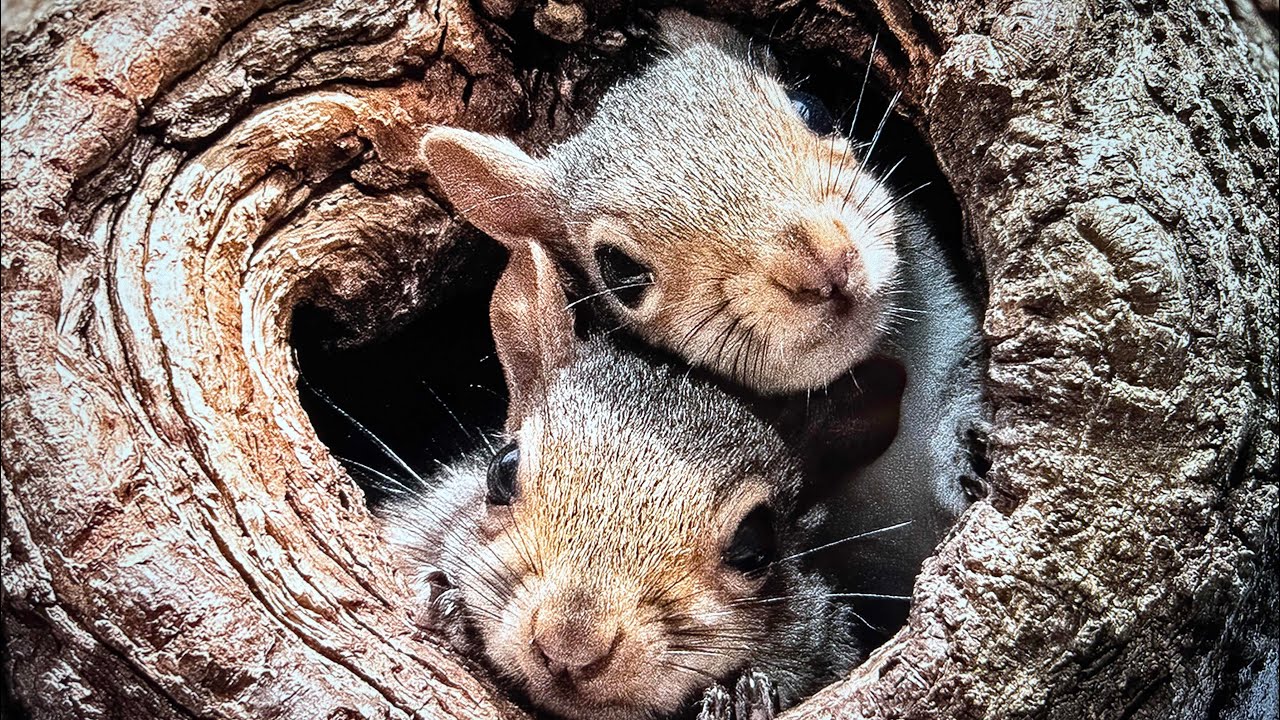 “The Reckless Moral of The Story” by @SpecializedInMusic (Edited Version) 