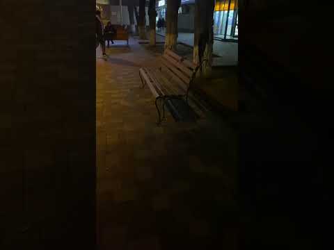 Видео с места обнаружения трупа в Волжском