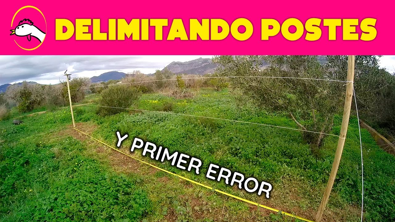 Delimitando postes para proteger el gallinero y PRIMER ERROR (Episodio 4) | La Granja de Alicia 🐔🥚