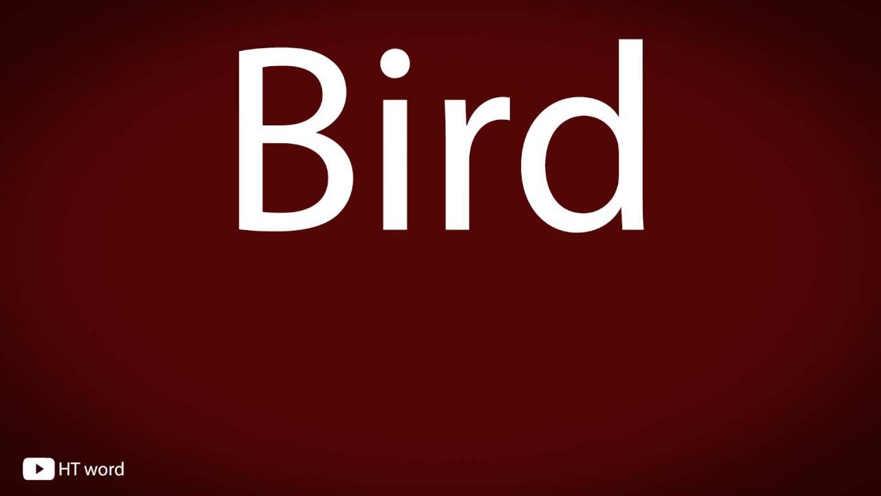 How To Pronounce Bird YouTube how-to-pronounce-bird-youtube