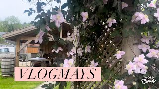 🌸 Vlogmays 🌸 Changes to the garden and wedding photos