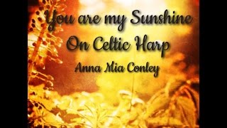 You Are My Sunshine folk song played with Celtic Harp live Louisiana state