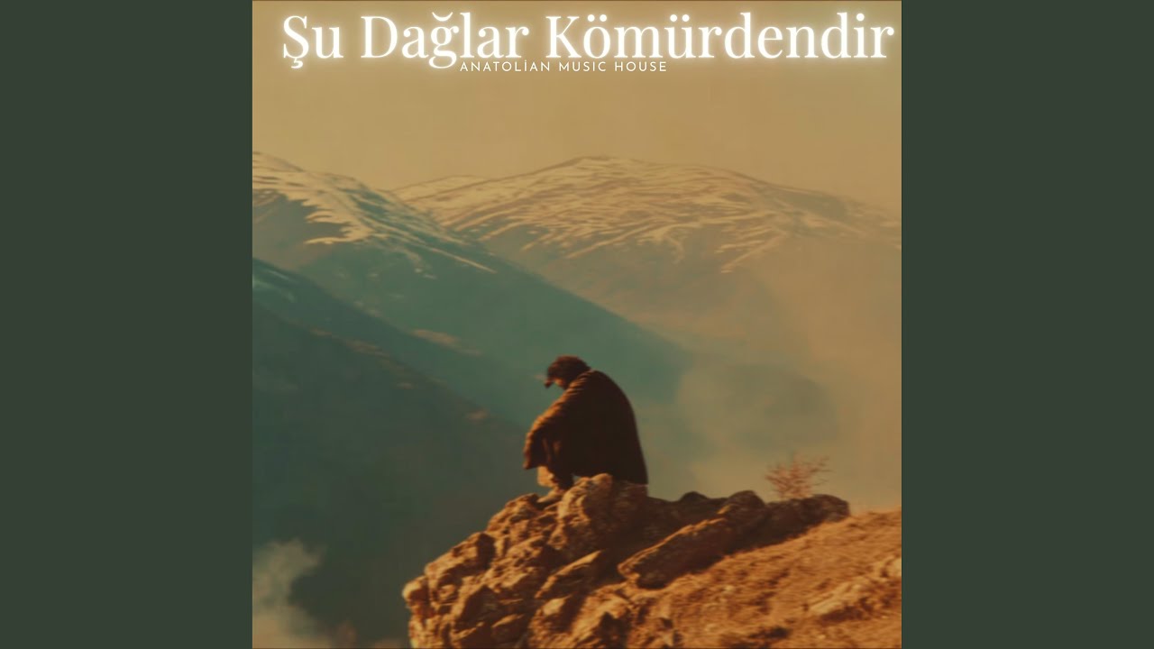 Şu Dağlar Kömürdendir