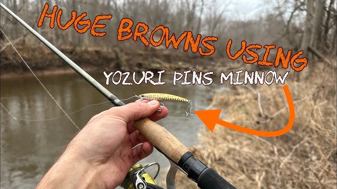 Trout Fishing: New Color Yo-Zuri Pins Minnow (2019) 