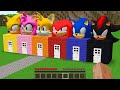 What inside houses sonic super sonic shadow sonic knuckles amy rose tails in minecraft