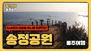 송정공원 영상
