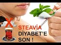 Stevia I Şeker Hastalığına SON! Çaydaki Şekere Alternatif I Gıda Güvenliği