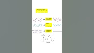 Biolayer Interferometry (BLI) | The Biophysics behind the BLI Technology, Explained
