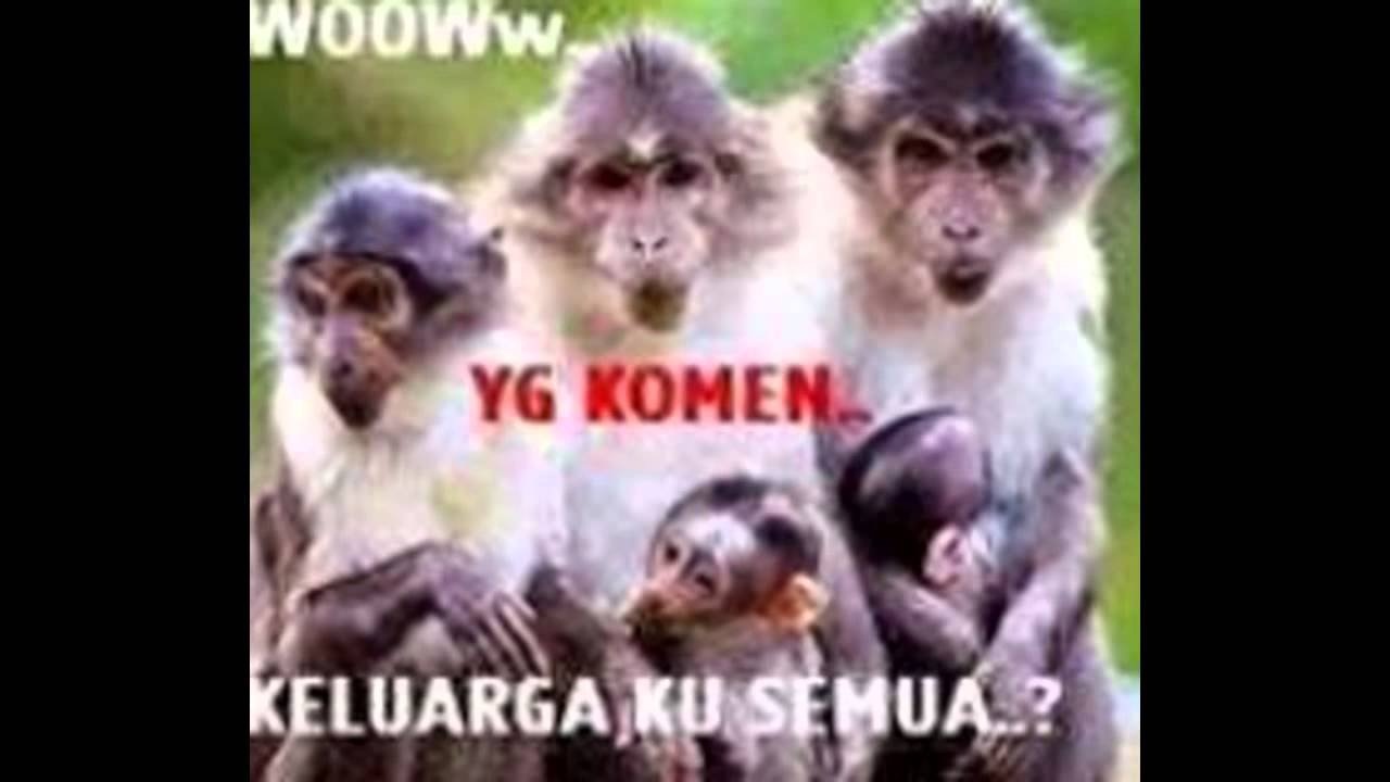 Foto Meme Lucu Untuk Perang Gambar DP BBM Lucu Kocak Dan Gokil