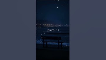 آيات من سورة البقرة 🤍🌿