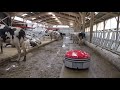 Lely discovery 120 collector  product