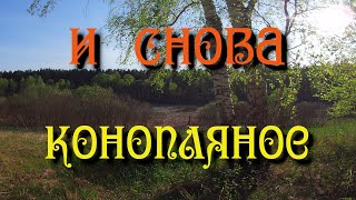 113.Озеро Конопляное. Воды уже много. Деревня Окунево Омская область.