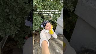 Вот так вот #дача #восстановление