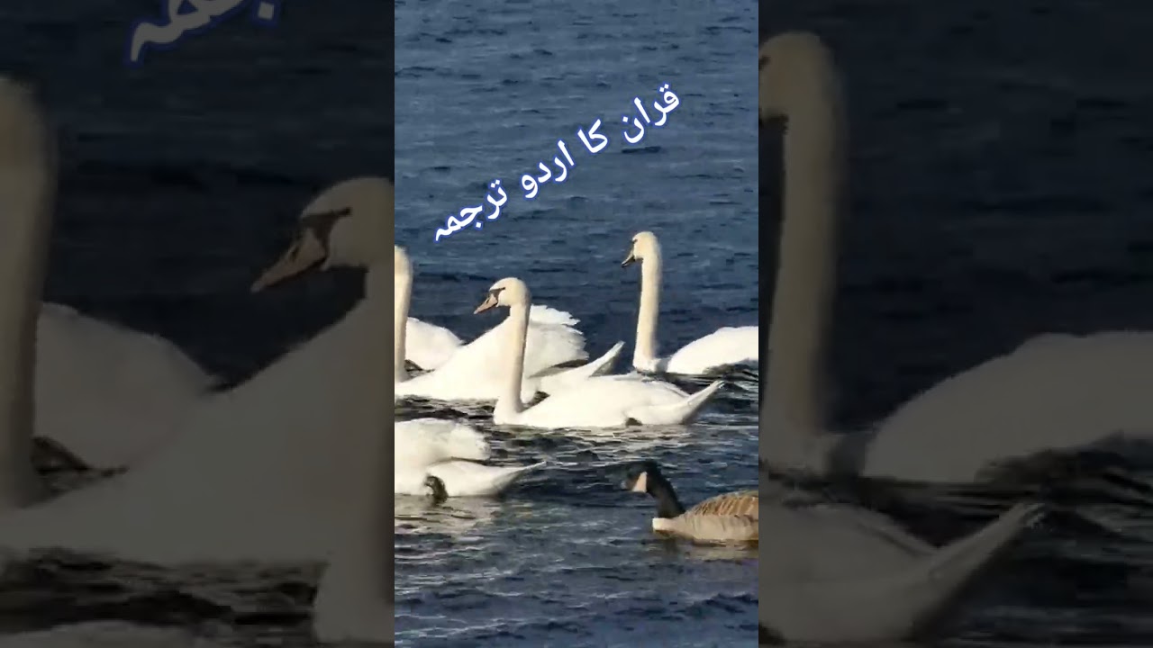 Quran in Urdu: The Ultimate Guide bekijken op YouTube Quran in Urdu: The Ultimate Guide bekijken op YouTube