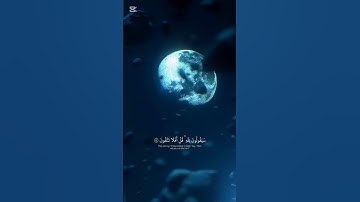 ﴿قُل لِّمَنِ ٱلْأَرْضُ وَمَن فِيهَآ﴾ | سورة المؤمنون | الأية (84-87) | القارئ ياسر الدوسري